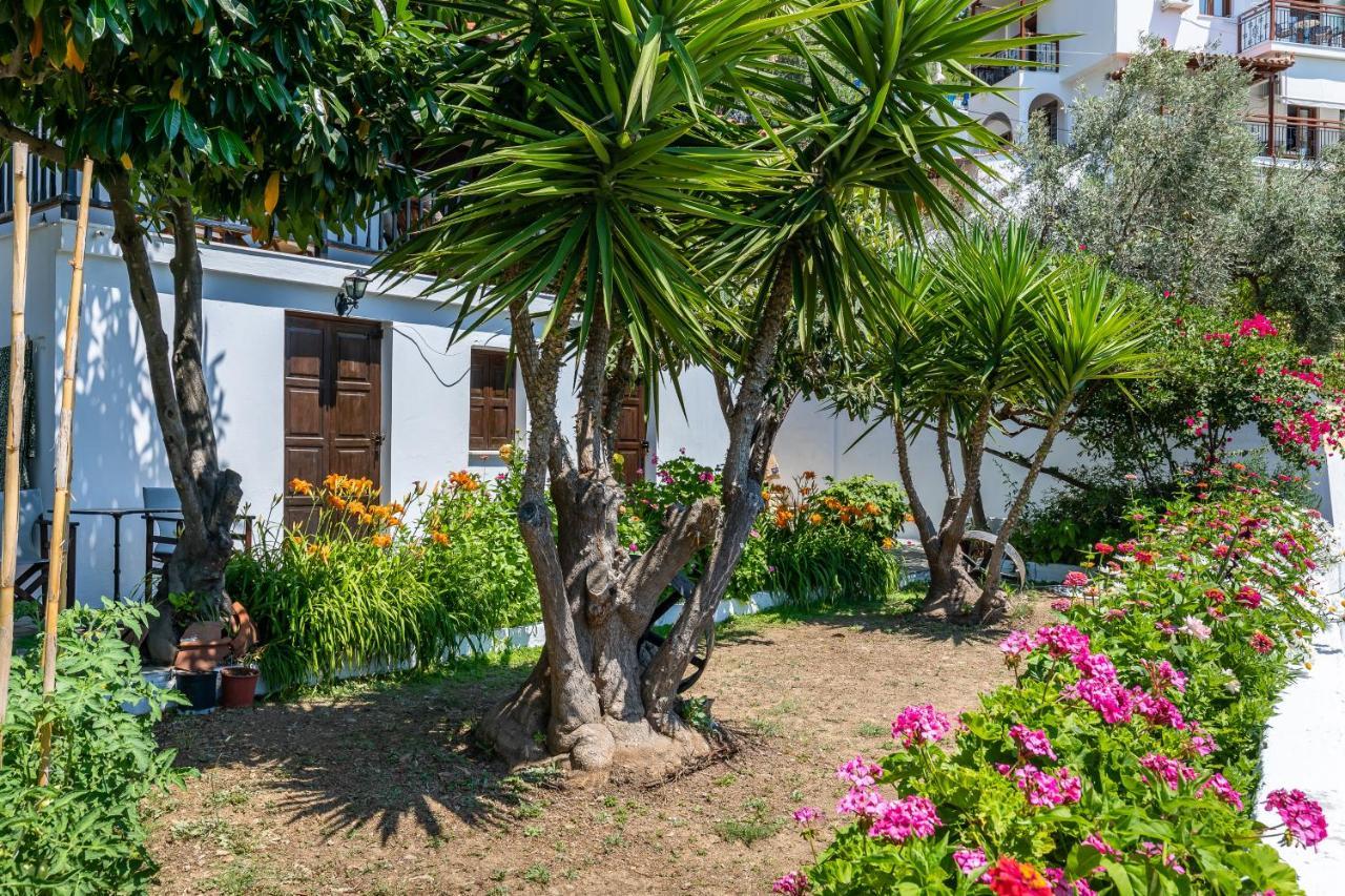Ourania Apartment Skopelos Town Bagian luar foto