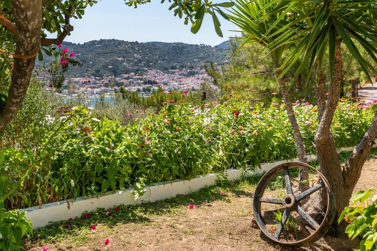 Ourania Apartment Skopelos Town Bagian luar foto