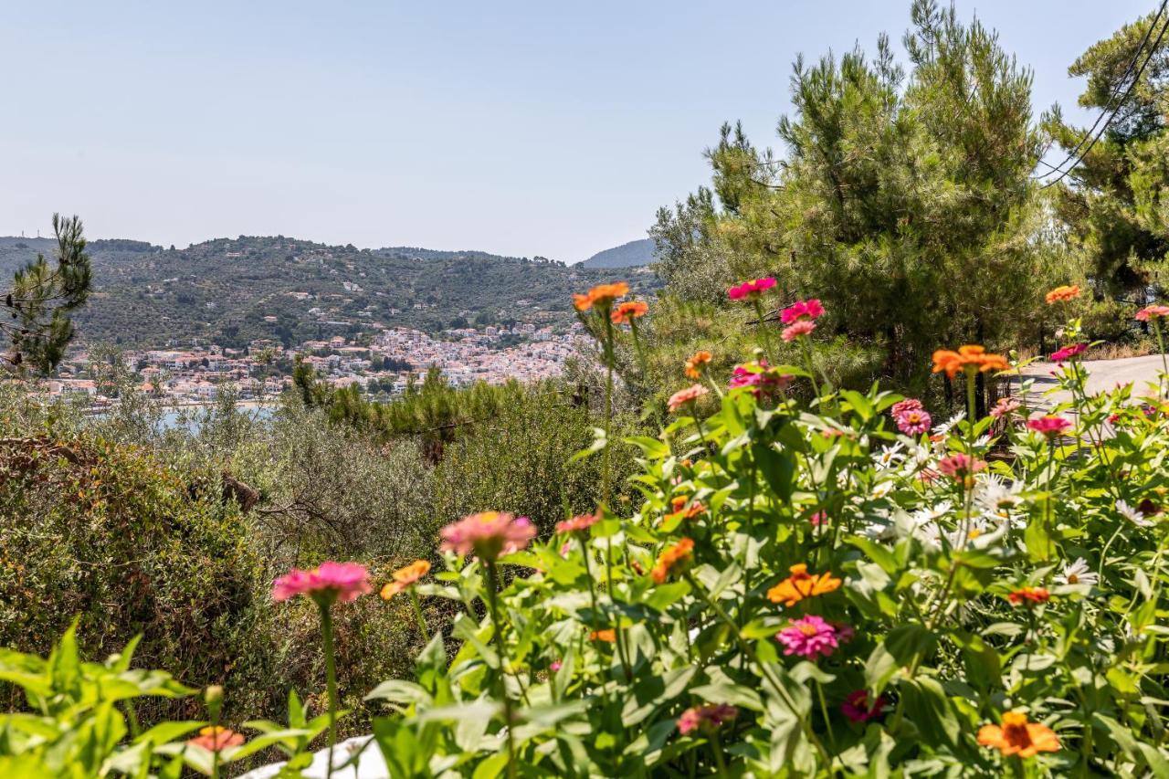 Ourania Apartment Skopelos Town Bagian luar foto