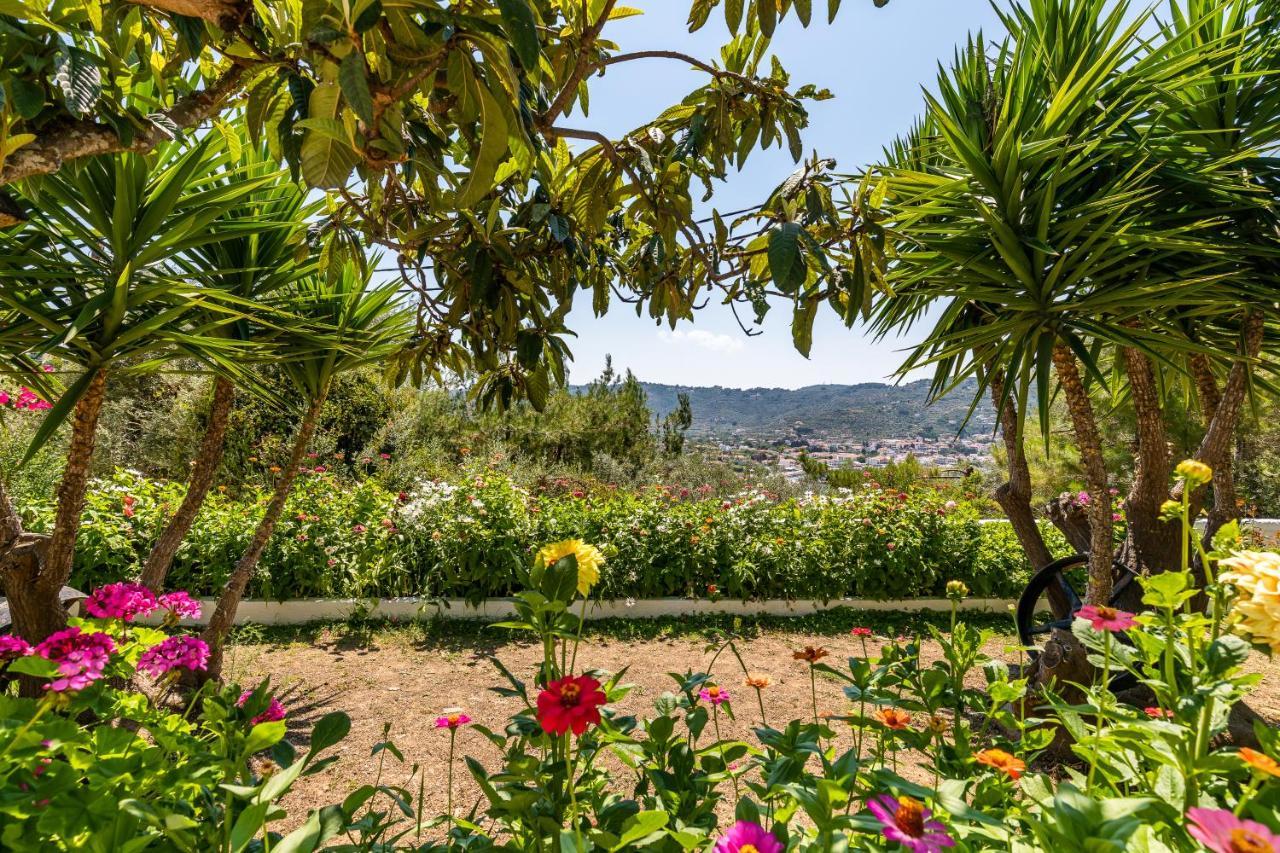 Ourania Apartment Skopelos Town Bagian luar foto